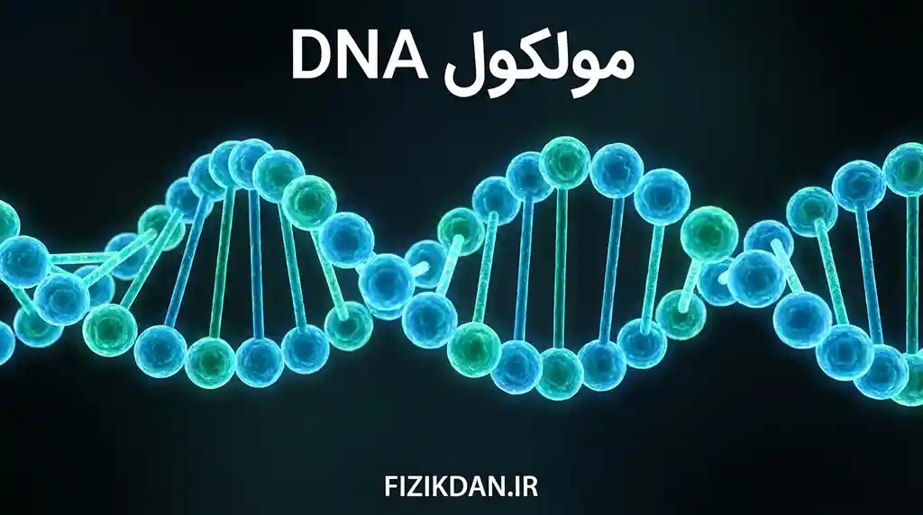 مولکول DNA